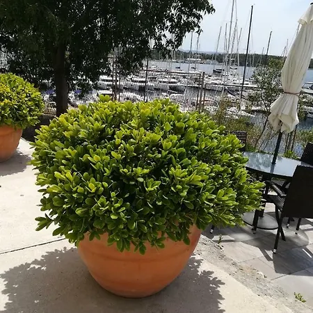 Mime Guest house Sibenik